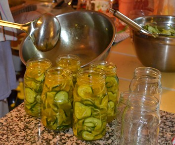 Picture of bread & butter pickles